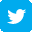 twitter icon